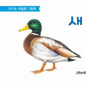 아기손 세밀화 그림책 - 새