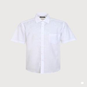 트레몰로 HC10 솔리드 반팔 드레스셔츠 TGBTS4Y3121