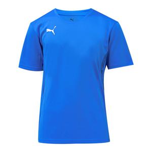 푸마 팀골 저지 반팔티 스포츠 티셔츠 65863602