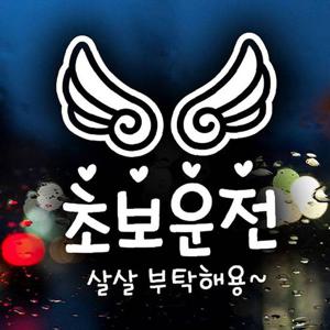 초보운전 살살 부탁해용 초보운전스티커-반사