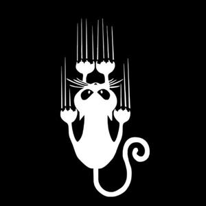 차량 고양이 스티커 화이트 포인트스티커 차량용