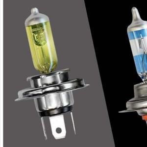 D21 자동차 할로겐전구 안개등전구 전조등전구