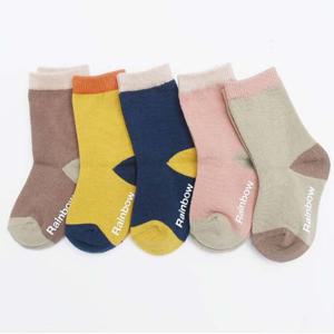 베이직 컬러 유아동 양말 5족 목긴양말 초등 선물용