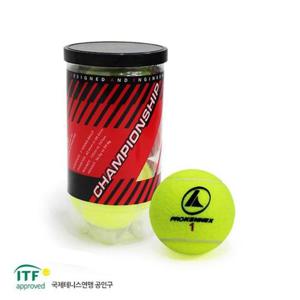 프로케넥스 1캔 2p R13227 공 레져 스포츠