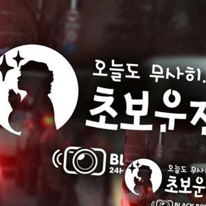 자동차스티커 오늘도무사히 초보운전 블랙박스 화이트