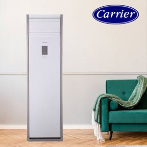 캐리어 인터버 중대형 업소용 30평 에어컨 냉난방기 실외기포함 DAMQ-1101EAWSD