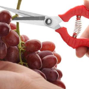 전지가위 다목적가위 원예용품 정원용품 원예가위