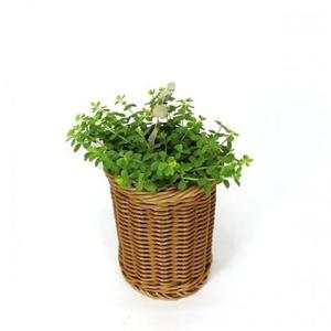 PP라탄 원형다용도통 주방용품