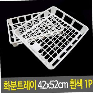 화분트레이 42x52cm 흰색 플러그트레이 모종트레이 플