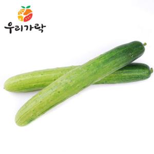 [우리가락]오이지용 백오이 50개