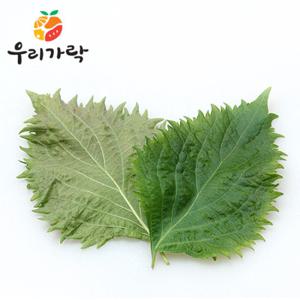 [우리가락]시소 25개 한팩