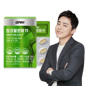 GNM 징코빌로바11 1박스 / 은행잎추출물 비타민B