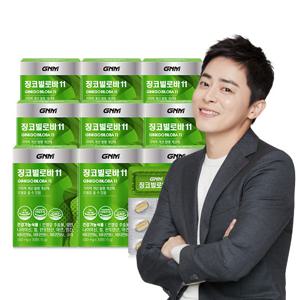 GNM 징코빌로바11 9박스 / 은행잎추출물 비타민B