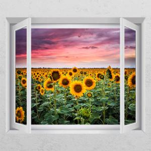 아트박스/꾸밈 ij436-해바라기밭_창문그림액자