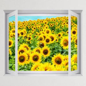 아트박스/꾸밈 cu257-노오란해바라기밭_창문그림액자(중형)