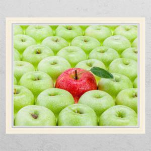 아트박스/꾸밈 th044-이슬을머금은사과2_창문그림액자