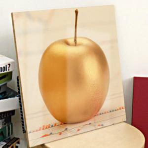 아트박스/꾸밈 tm046-아크릴액자_재물의황금사과