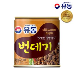 유동 번데기 280g 1캔