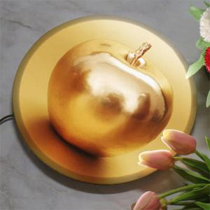 아트박스/꾸밈 na435-LED액자25R_황금사과