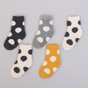 [키즈노리] 빅도트 아동 양말 5족/유아/어린이/여아/학생