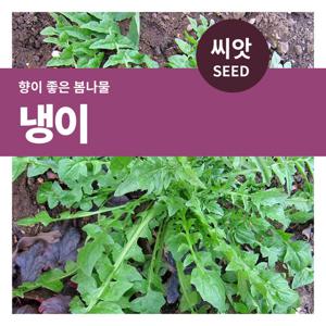 마이플랜트 냉이 씨앗 5000립 (3g)