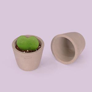 마이플랜트 로자리안 그레이 컵콩분 8호 분갈이 국산 화분 인테리어 토분