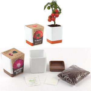 반려식물키우기 방울토마토씨앗 흙 화분세트