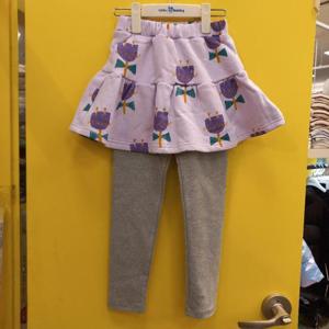 리틀밥독 HC11 튤립치렝스 B234MPT19