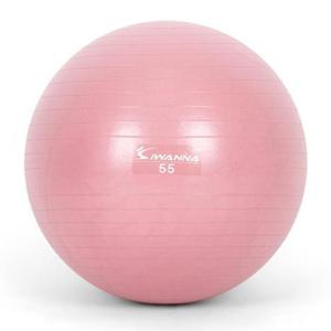 아이워너 짐볼 다이어트짐볼 55cm (와일드 핑크) 마사지볼 마사지짐볼