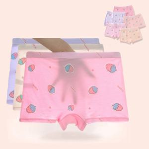 [엠케이] 딸기나라 여아동 속옷 매쉬 드로즈팬티 5종세트205625