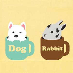 아트박스/코이핀즈 내 컵안의 애완동물