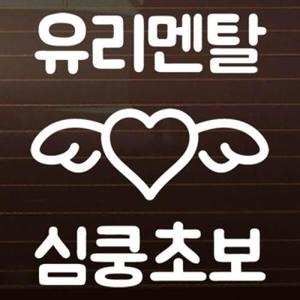 아트박스/제제데코 유리멘탈_심쿵초보 [자동차스티커/초보운전스