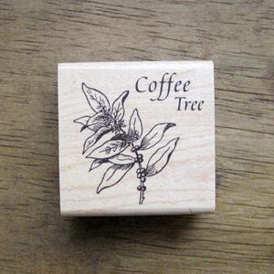 아트박스/스탬프 하우스 [커피앤티]커피나무