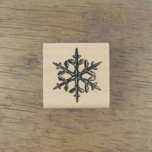 아트박스/스탬프 하우스 [크리스마스]눈꽃(Actual Snow)-2