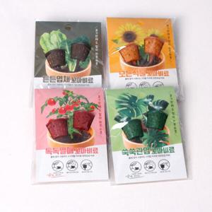 아트박스/꿈쟁이 꿈쟁이 꼬마비료 2개입 엽채식물관엽열매