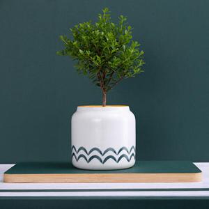 아트박스/위드마켓 포레스트 미니 도자기 화분(물결)
