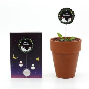 아트박스/이룸 크리스마스 리스 씨앗카드