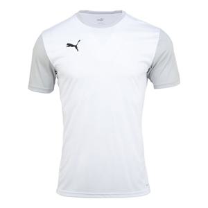 M 푸마반팔티 푸마 팀골 23 사이드라인 티(65648404) ZQ 656484 04