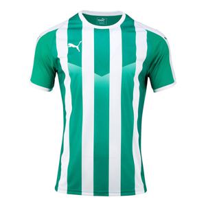 M 푸마반팔티 리가 저지 스트라이프(70342415) ZQ 703424 15