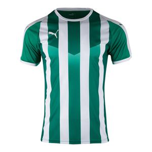 M 푸마반팔티 리가 스트라이프 저지(70364015) ZQ 703640 15