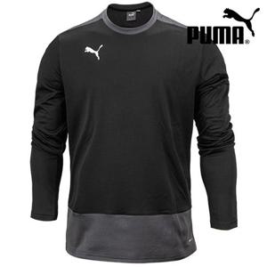 M 푸마맨투맨 팀골 23 트레이닝 스웨트 L/S 656478 03