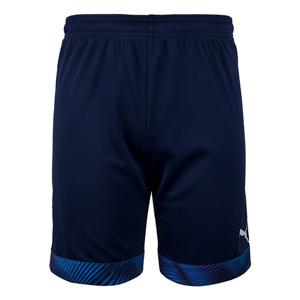 M 푸마반바지 CUP 쇼트(70406806) ZQ 704068 06