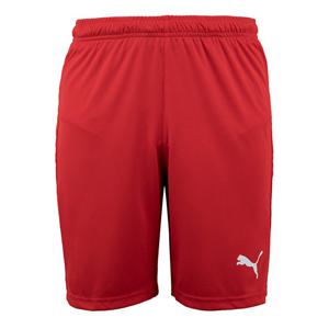 M 푸마반바지 리가 코어 쇼츠(70429001) ZQ 704290 01