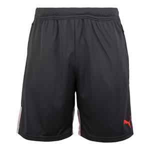 M 푸마반바지 ZQB 푸마 individualCUP 쇼츠(65721341) 657213 41