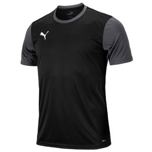 M 푸마반팔티 푸마 팀골23 사이드라인 반팔저지(65648403) ZQ 656484 03