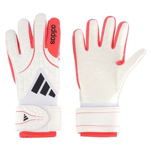 코파 글러브 리그 골키퍼장갑(KA7810)