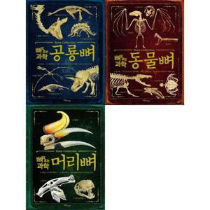 [한울림어린이] 초등 학습 과학 뼈로 푸는 과학 공룡뼈 + 동물뼈+ 머리뼈 세트 (전3권)