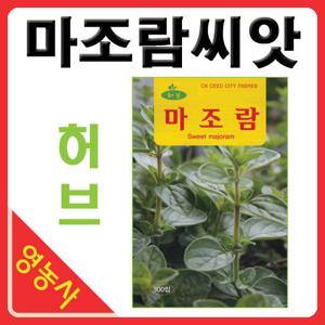 마조람허브씨앗 허브 씨앗 300립 마조람