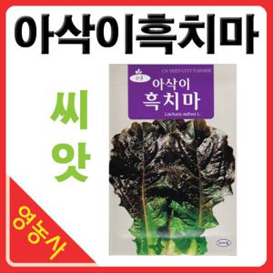 아삭이흑치마씨앗 5000립 흑상추씨앗 상추 채소 씨앗