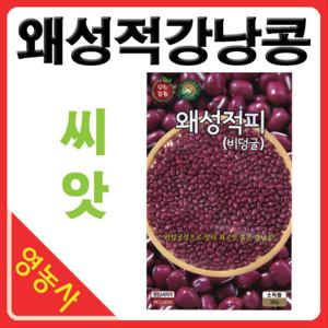 왜성적피 강낭콩씨앗 30g 적강낭콩씨앗 콩 채소 씨앗
